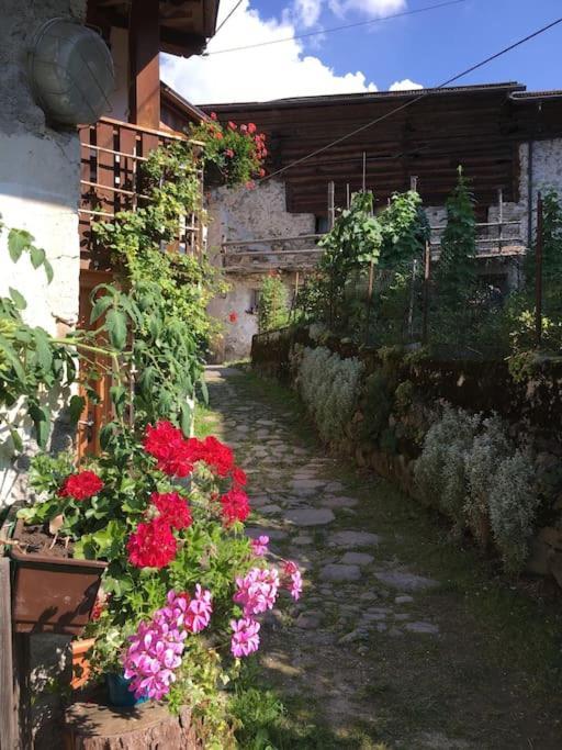 Casa Bernard Zortea Vanoi Cuore Verde Del Trentino Canal San Bovo Exterior foto